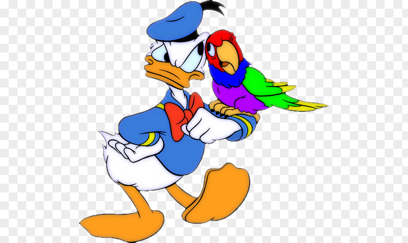 Donald Duck Duck: Goin' Quackers Iago Cartoon PNG