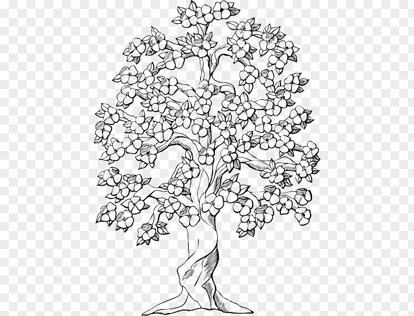Eating Grapes Sketch Coloring Book Colouring Pages Tree Oak Trunk PNG