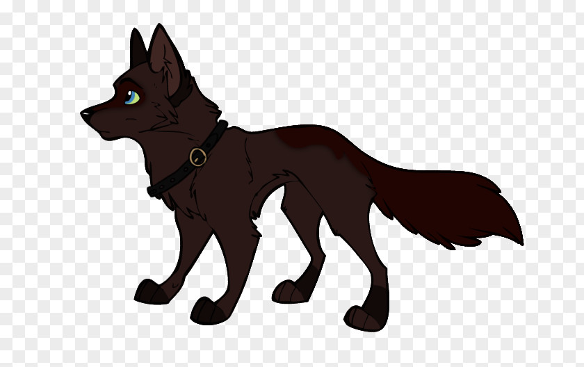 Fox Schipperke Red Big Bad Wolf Carnivora PNG