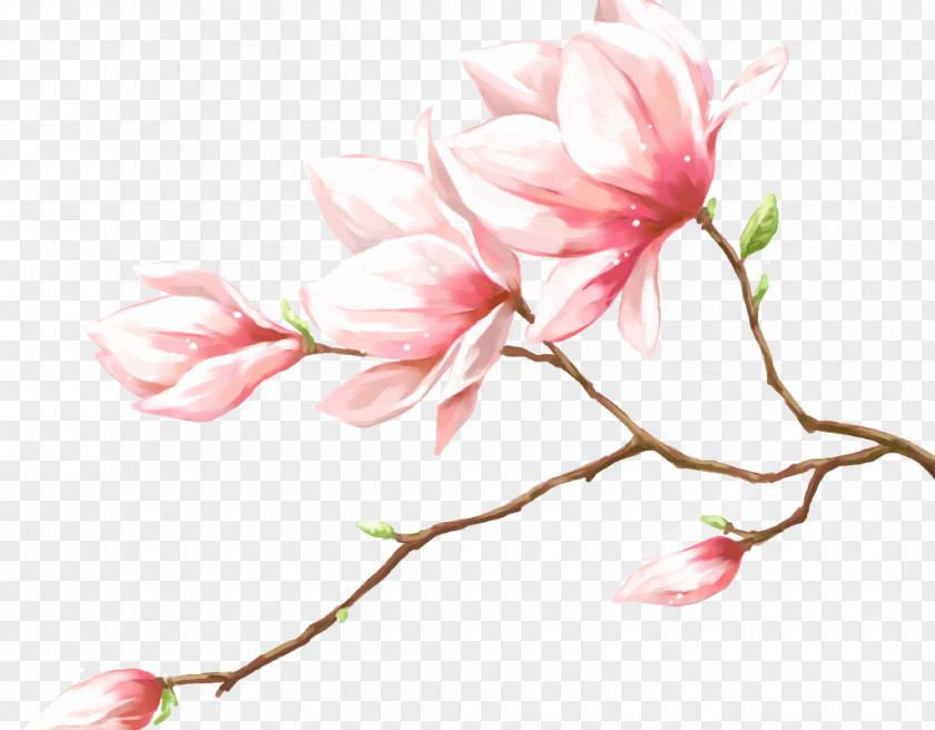 Hand-painted Pink And Beautiful Peach Petal Flowers PNG