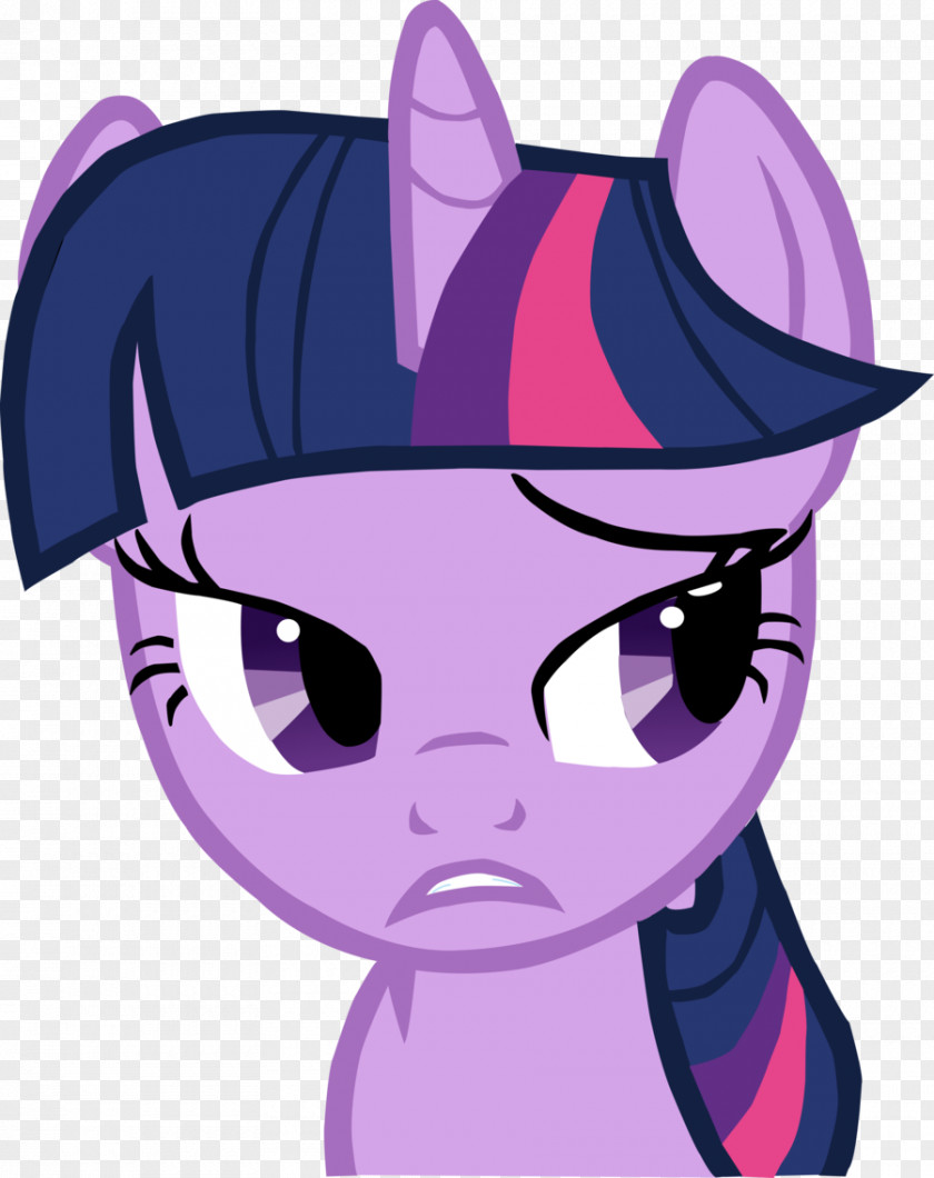 Horse Whiskers Cat Twilight Sparkle PNG