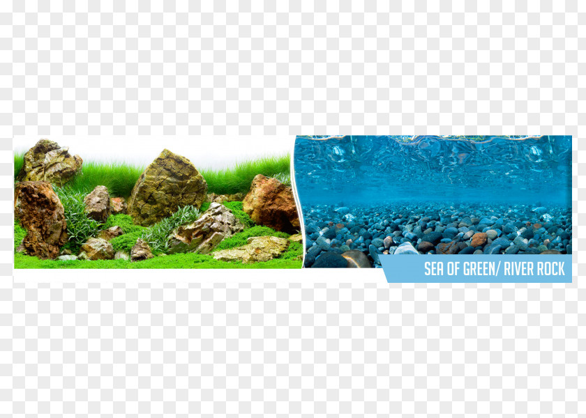 Sea Rock Of Thieves Plastic Aquarium Ecosystem Polyvinyl Chloride PNG