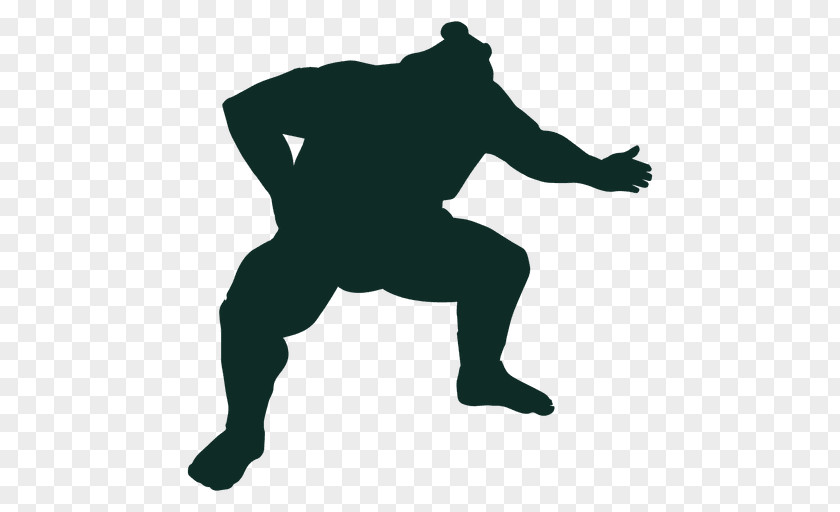 Sumo Martial Arts Silhouette PNG
