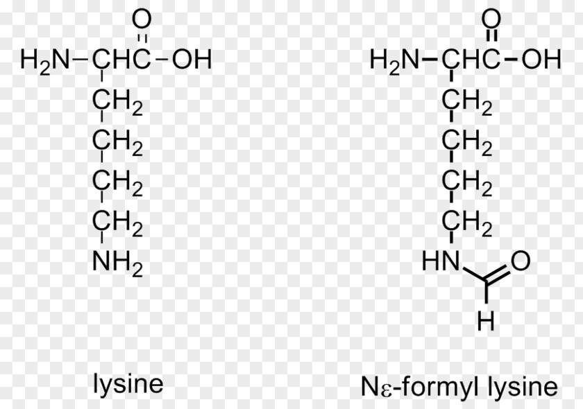 Formylation Reaction Cis–trans Isomerism N-Formylmethionine PNG