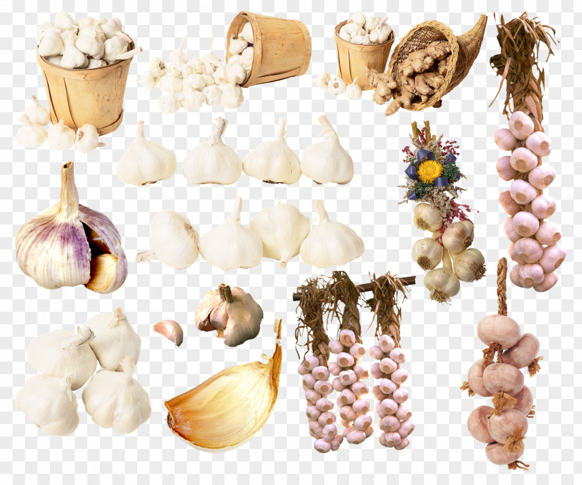 Garlic Condiment Spice PNG