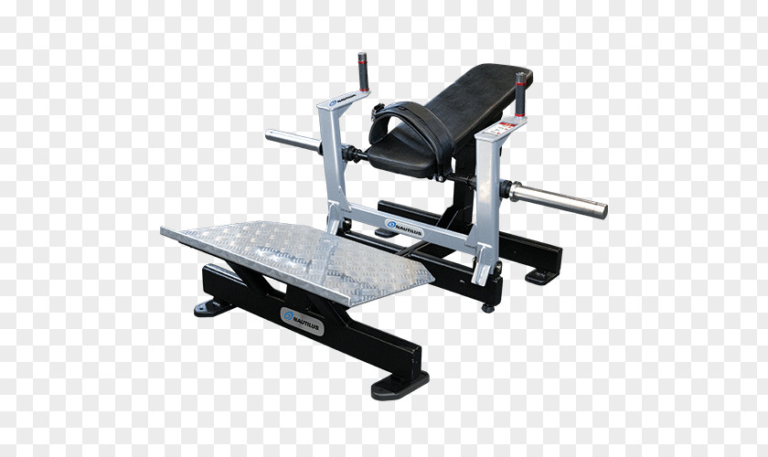 Glute Bridge On Bench Gluteus Maximus Exercise Equipment Fitness Centre Leg Press PNG