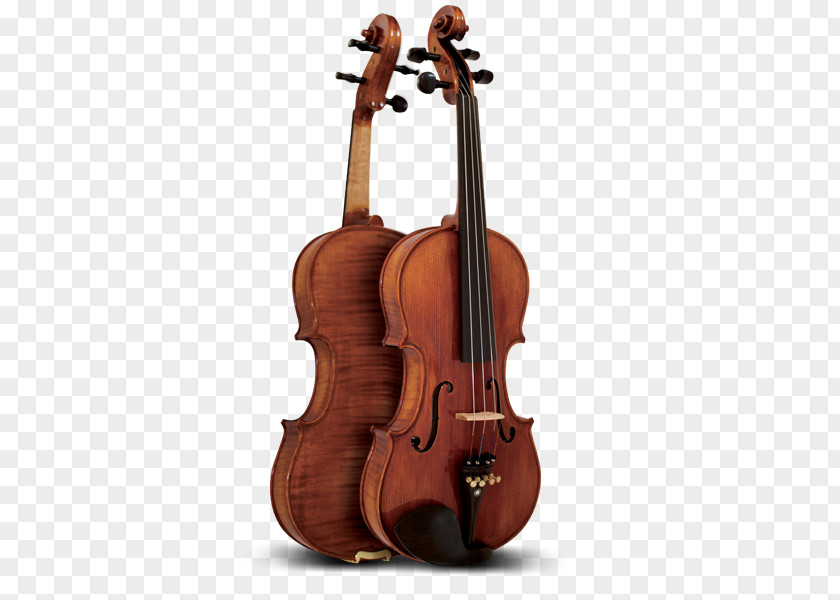 Violin Bass And Viola Double PNG