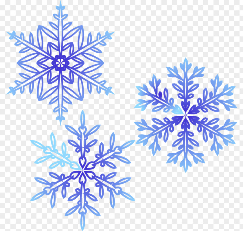 Chill Ornament Snowflake Christmas Day Image PNG