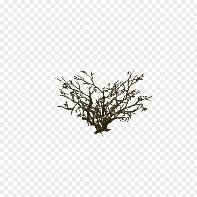 Dead Tree Material Low Poly Twig Painting 3D Modeling Texture Mapping PNG