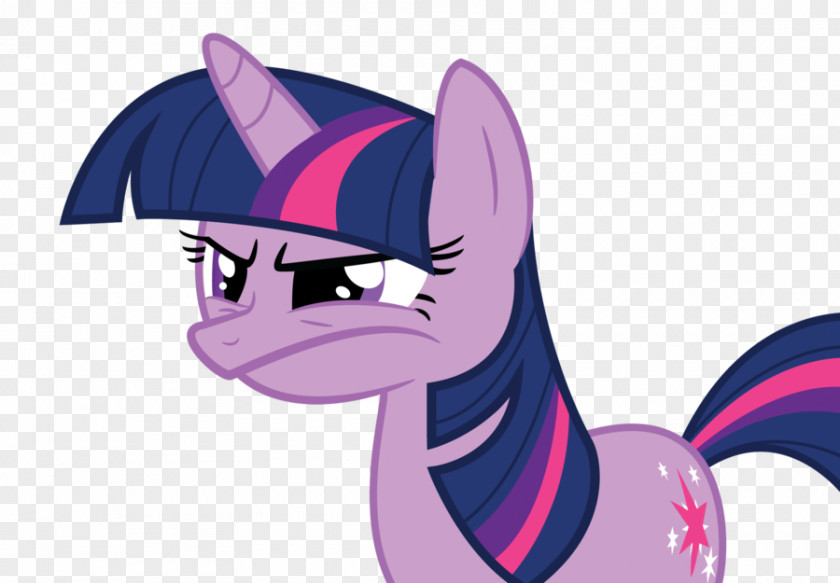 My Little Pony Twilight Sparkle Spike Rarity Pinkie Pie Rainbow Dash PNG