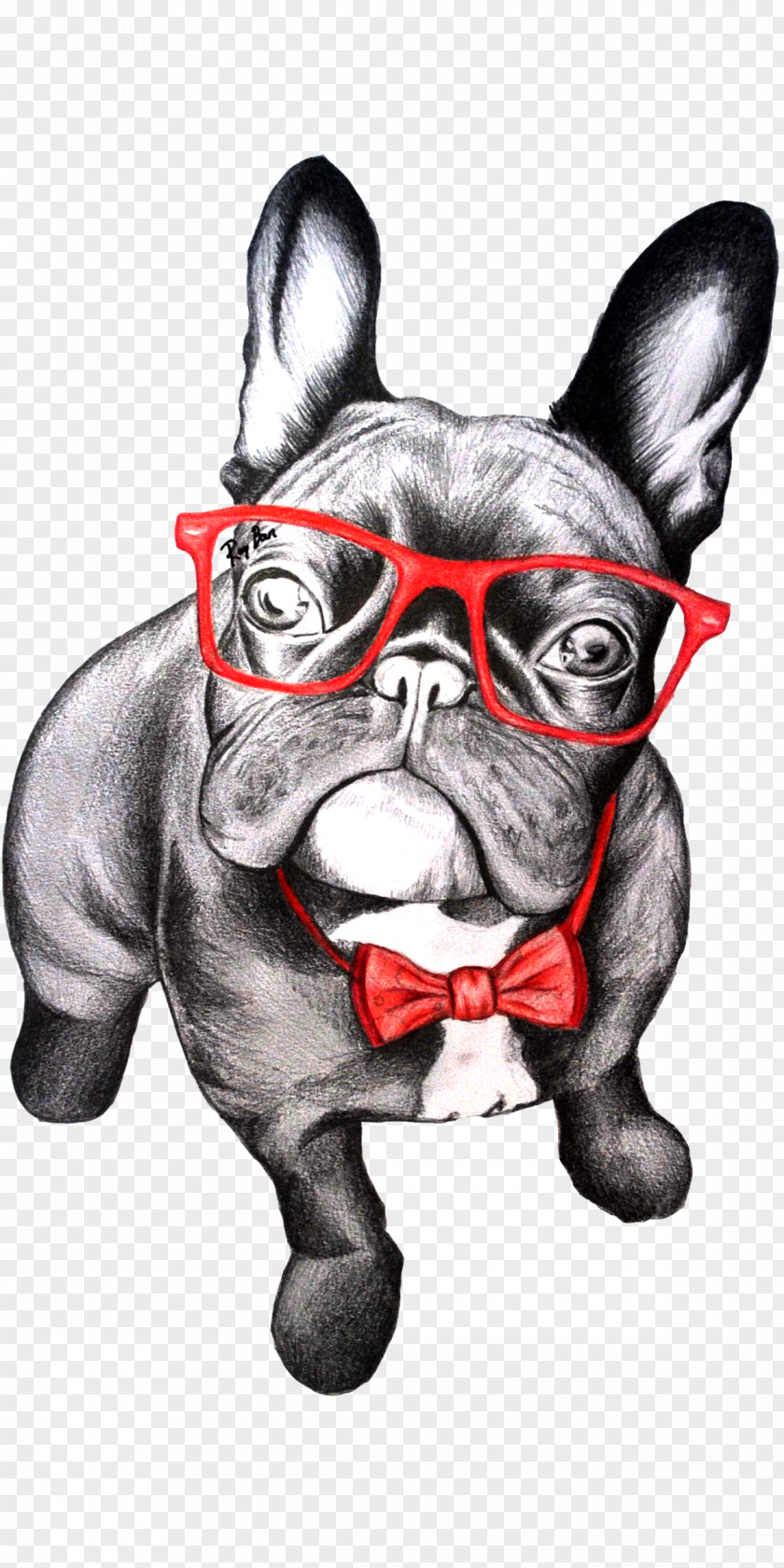 The Dog Painted French Bulldog T-shirt Pug Puppy PNG