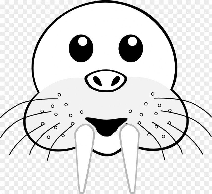 Walrus Drawing Clip Art PNG