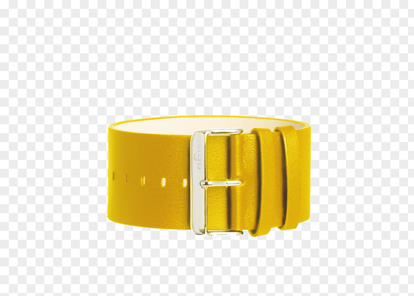 Watch Bracelet Belt Buckles Bangle PNG