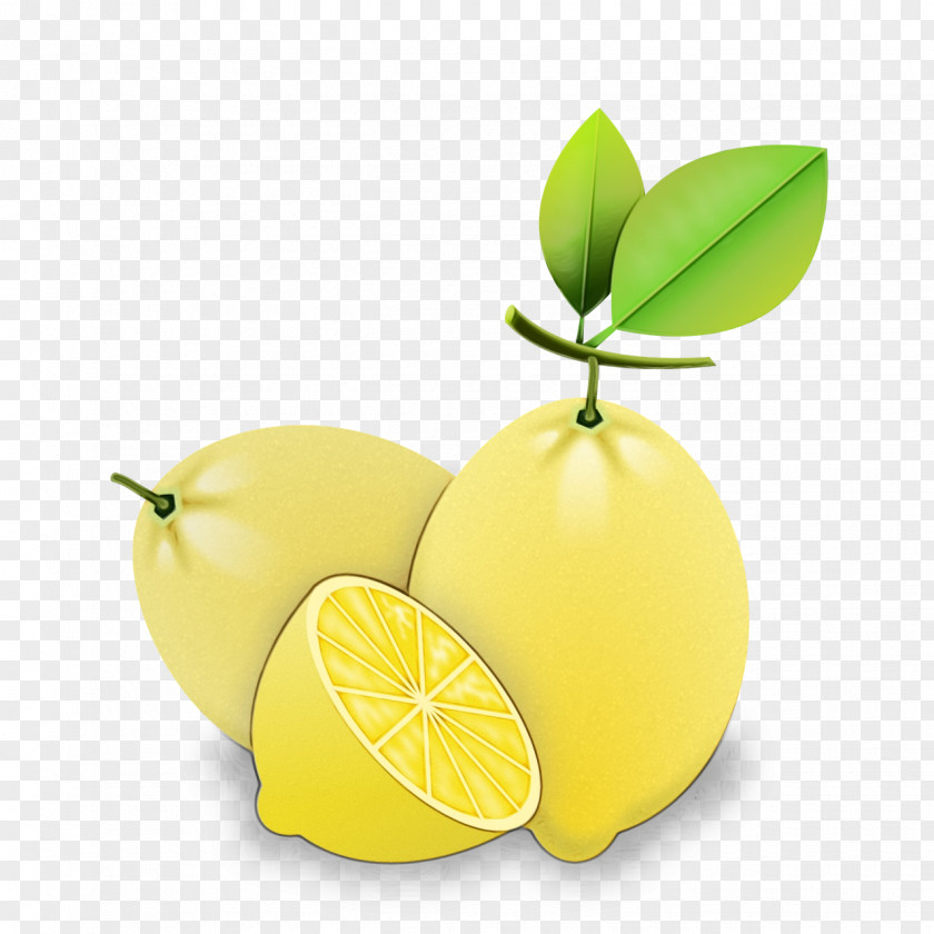 Lemon Key Lime Citron Persian PNG