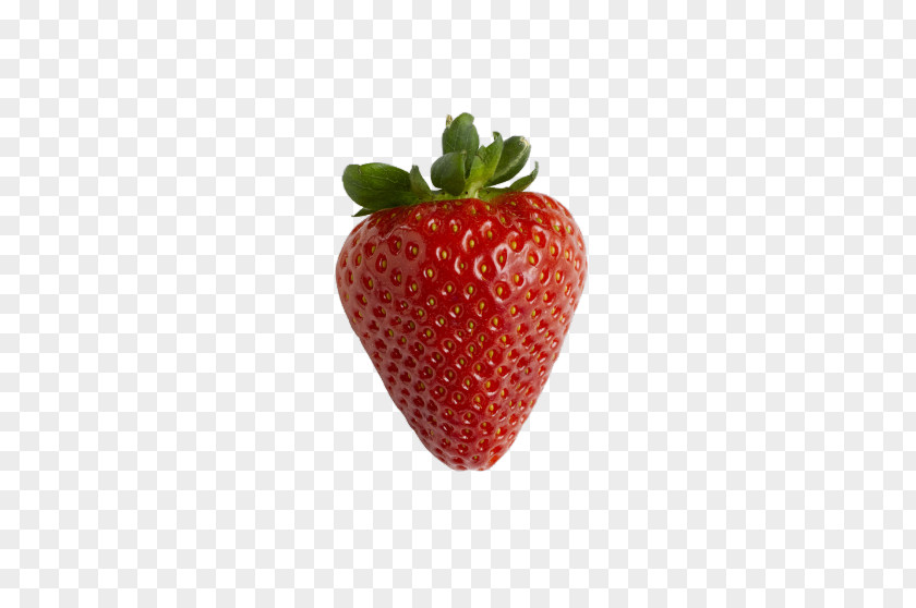 Strawberry Drawing Image Milkshake Vector Graphics PNG