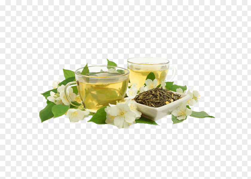 Tea Green White Baihao Yinzhen Biluochun PNG