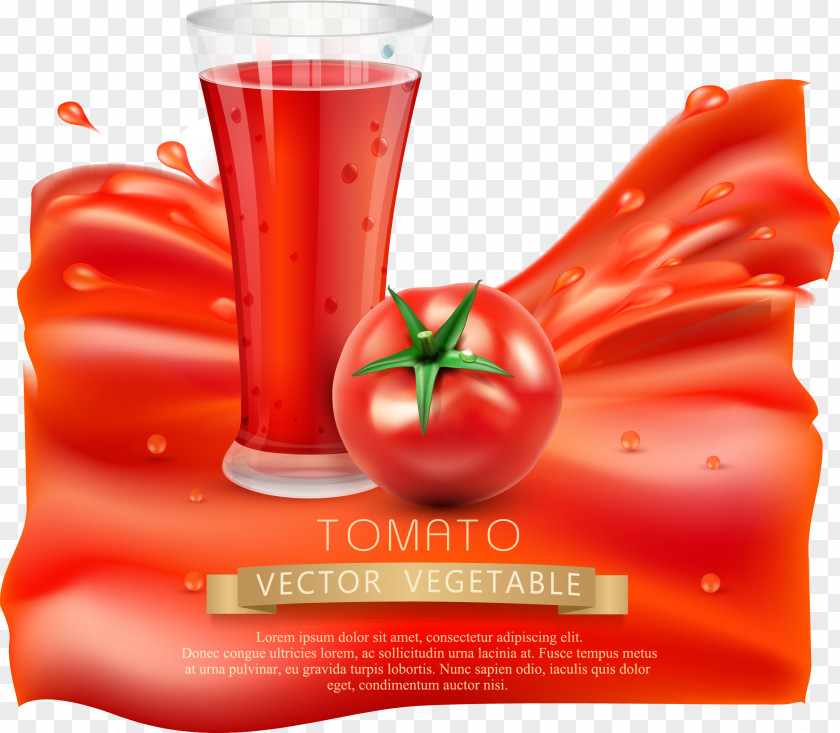 Vector Tomato Juice Soup PNG
