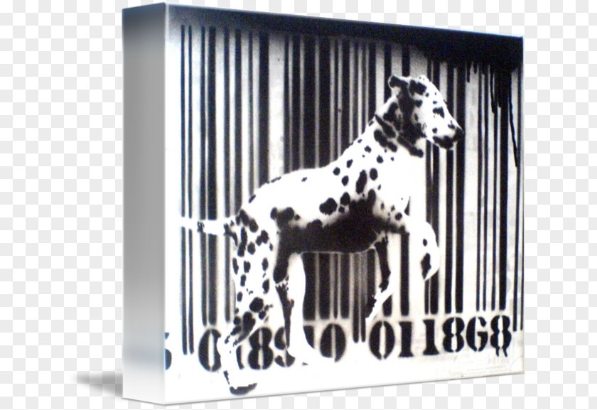 WHITE Barcode Dalmatian Dog Non-sporting Group PNG