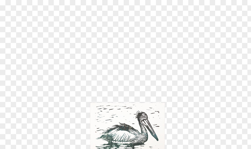 Bird Crane Goose Cygnini Duck PNG