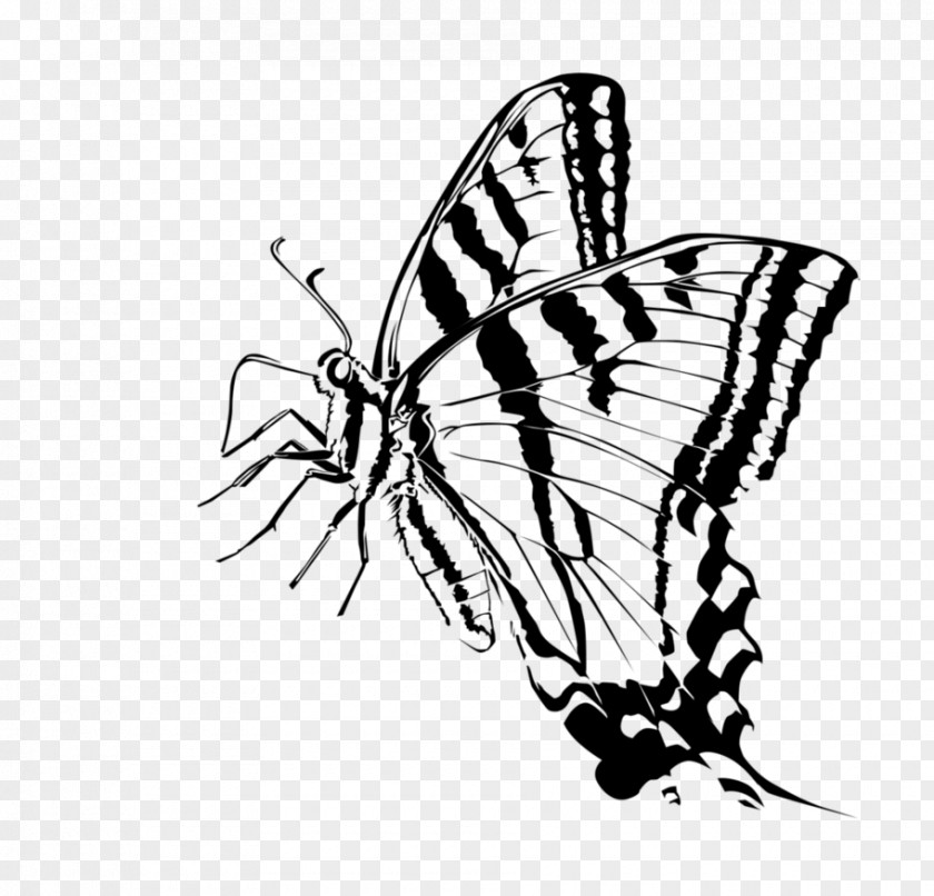 Butterfly Monarch Moth Brush-footed Butterflies Clip Art PNG