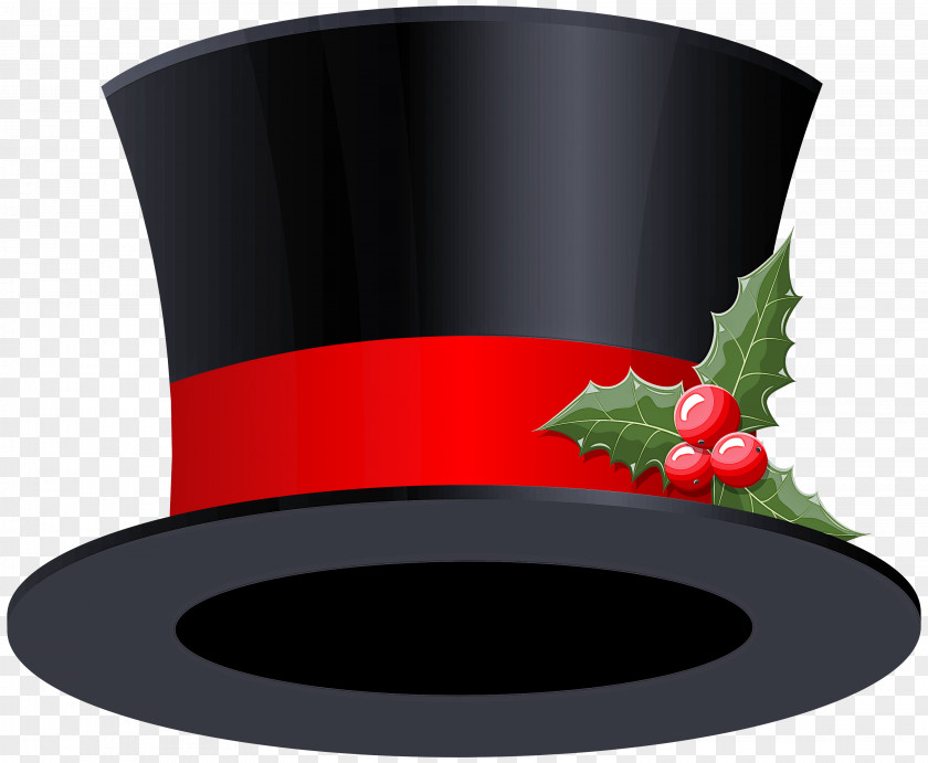Dish Plant Holly PNG