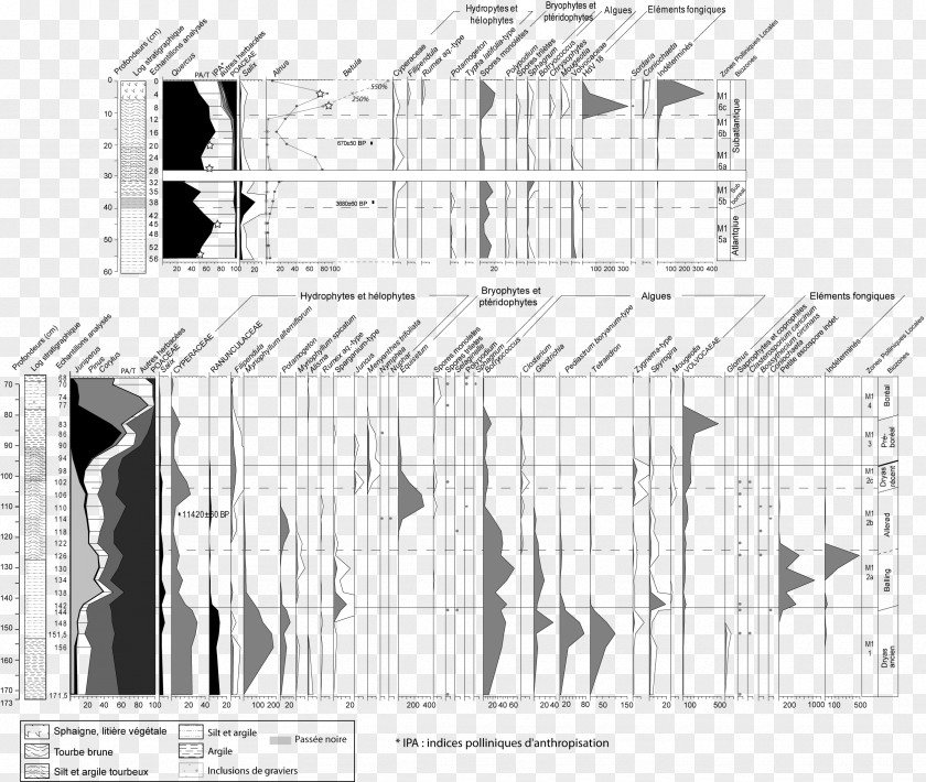 M Graphic Design DiagramBetula Illustration Paper Architecture Black & White PNG