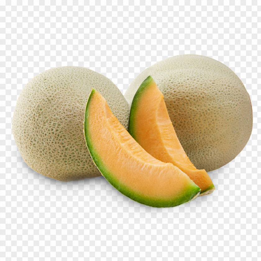 Melon Honeydew Cantaloupe Galia Cucumis PNG