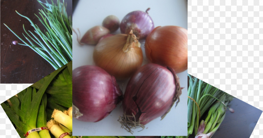 Shallot Superfood Recipe Local Food PNG