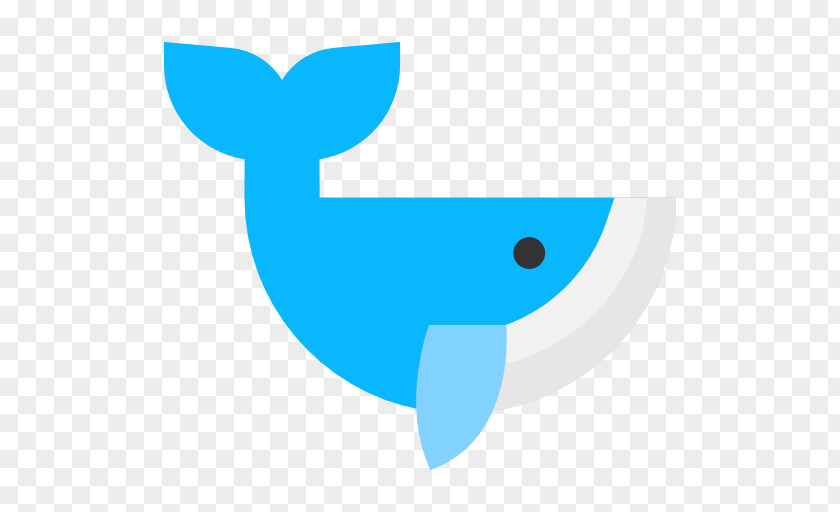 Ballenas Infographic PNG