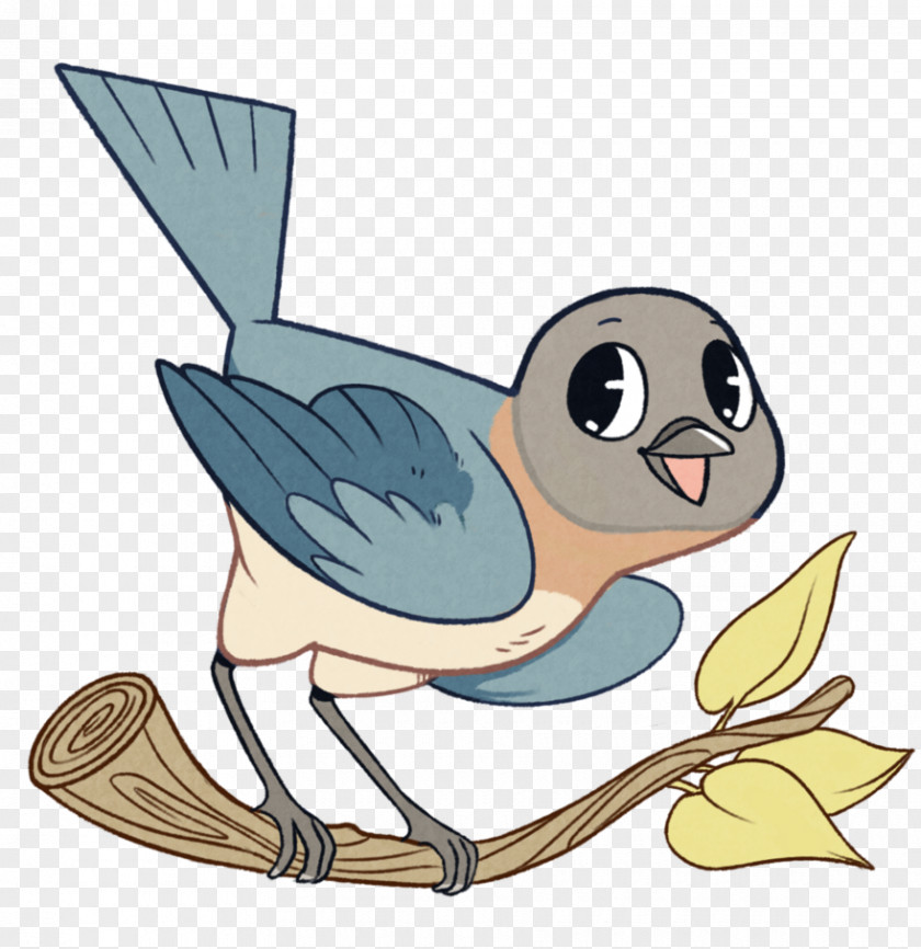 Bird Drawing Clip Art PNG