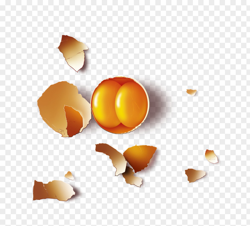 Broken Eggs Chicken Egg Poster PNG