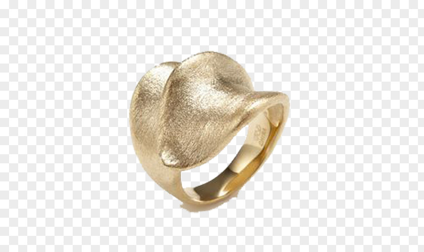 Brushed Gold Ring PNG