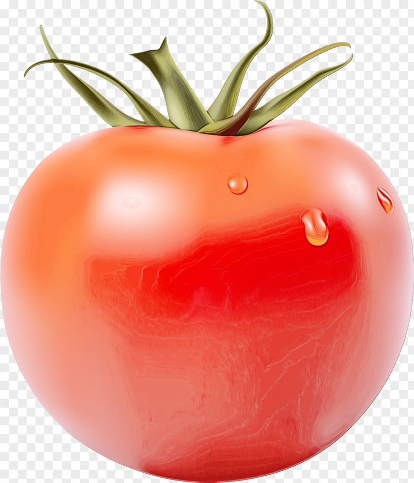 Bush Tomato Vegetarian Food Cartoon PNG