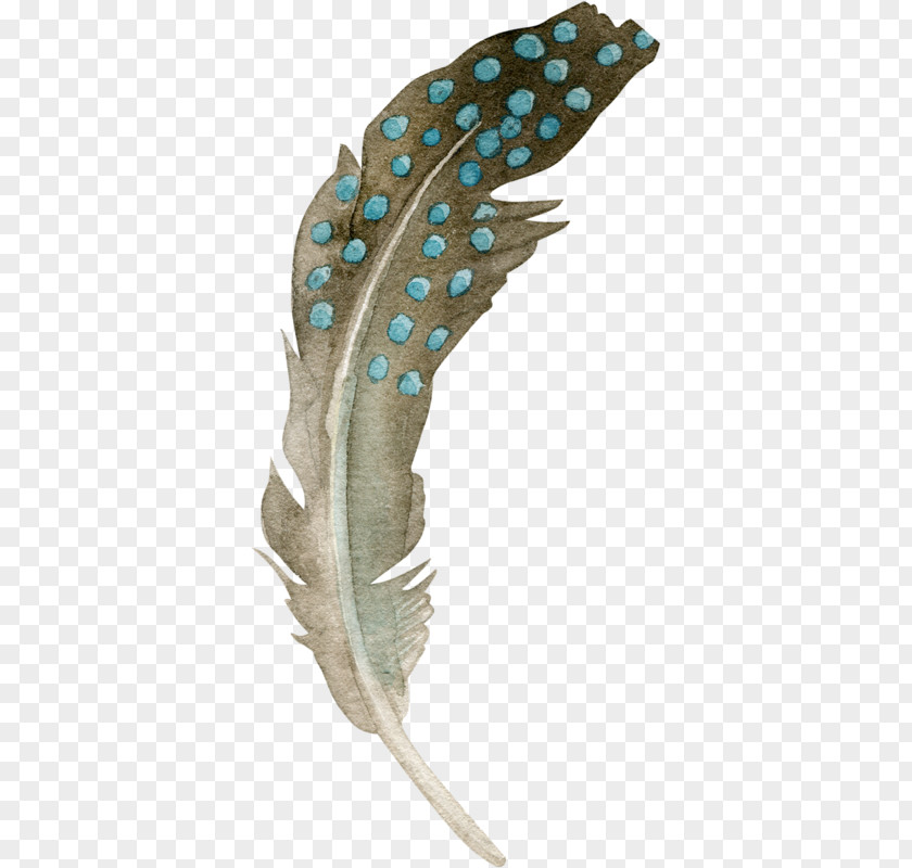 Feather Material Bird Clip Art PNG