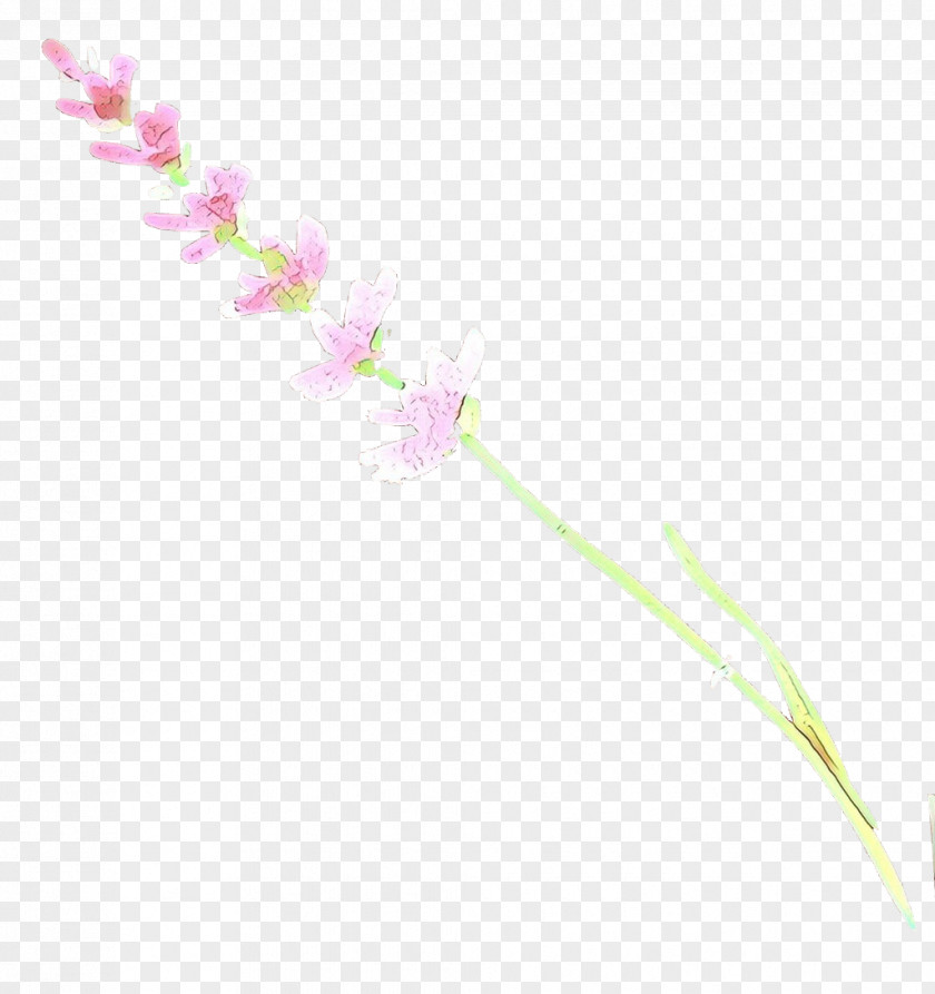 Flowering Plant Stem Pink Flower Pedicel PNG