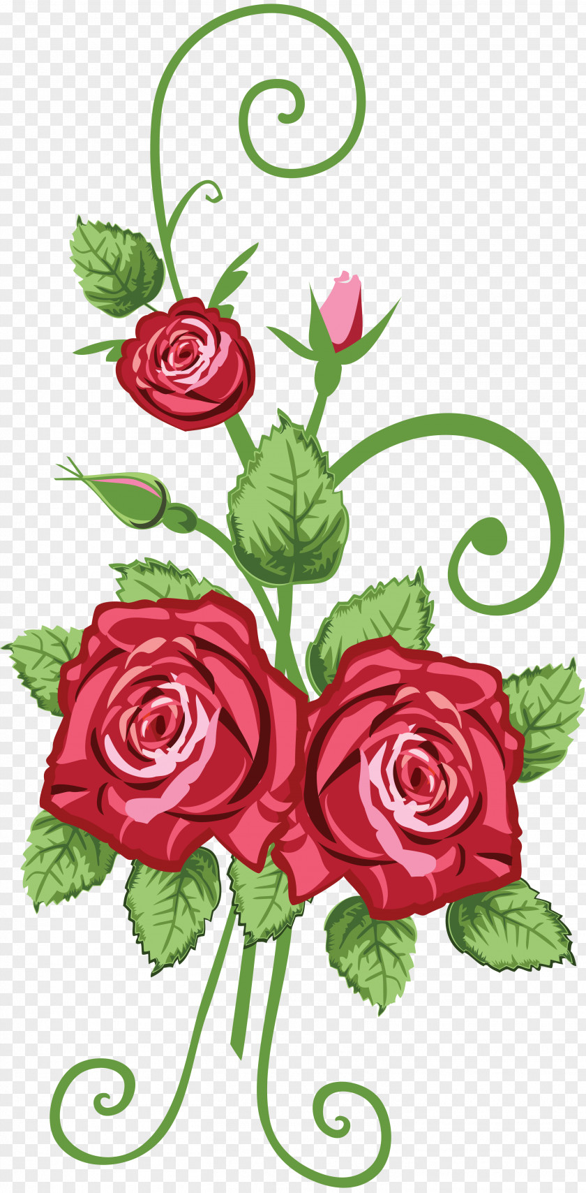 Handpainted Flowers Rose Drawing Clip Art PNG