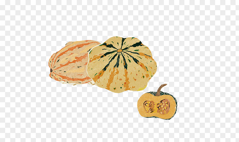 Pumpkin Hand Painting Material Picture Calabaza Pie Squash Soup PNG