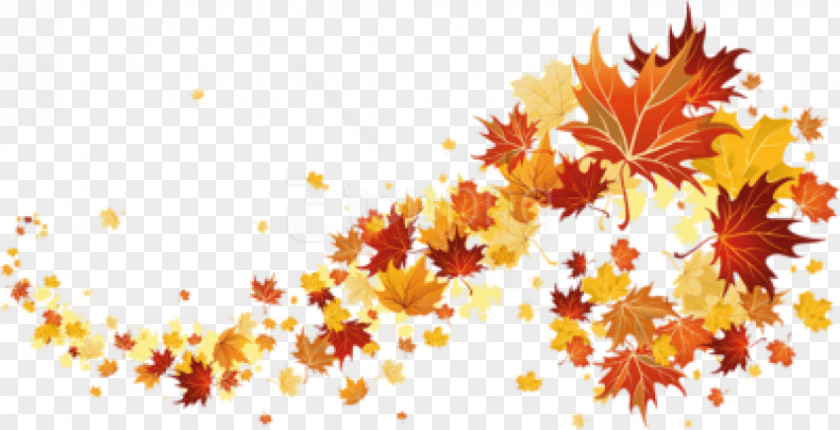 Autumn Reeser Free Download Clip Art Image Desktop Wallpaper PNG