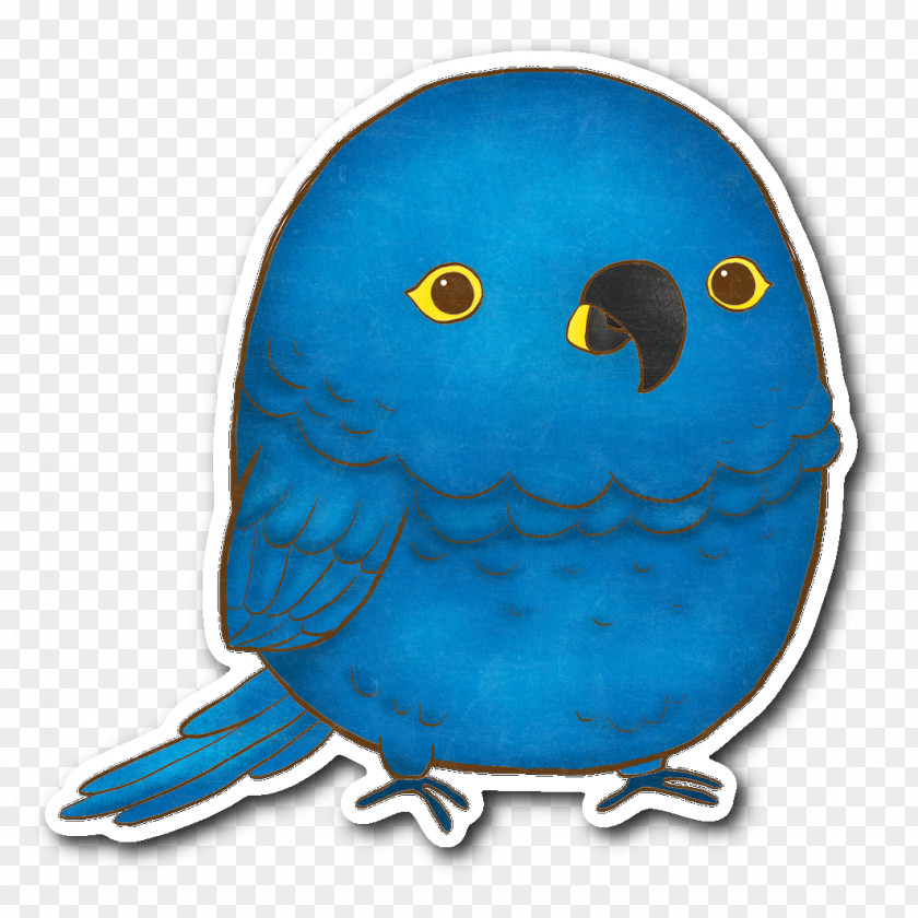 Bird Sun Conure Cockatoo Clip Art PNG