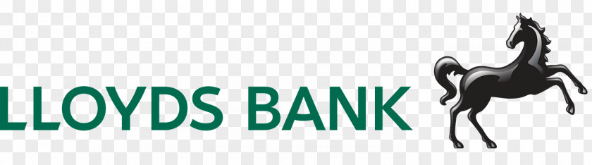 Business Card Lloyds Bank International Basingstoke Finance PNG