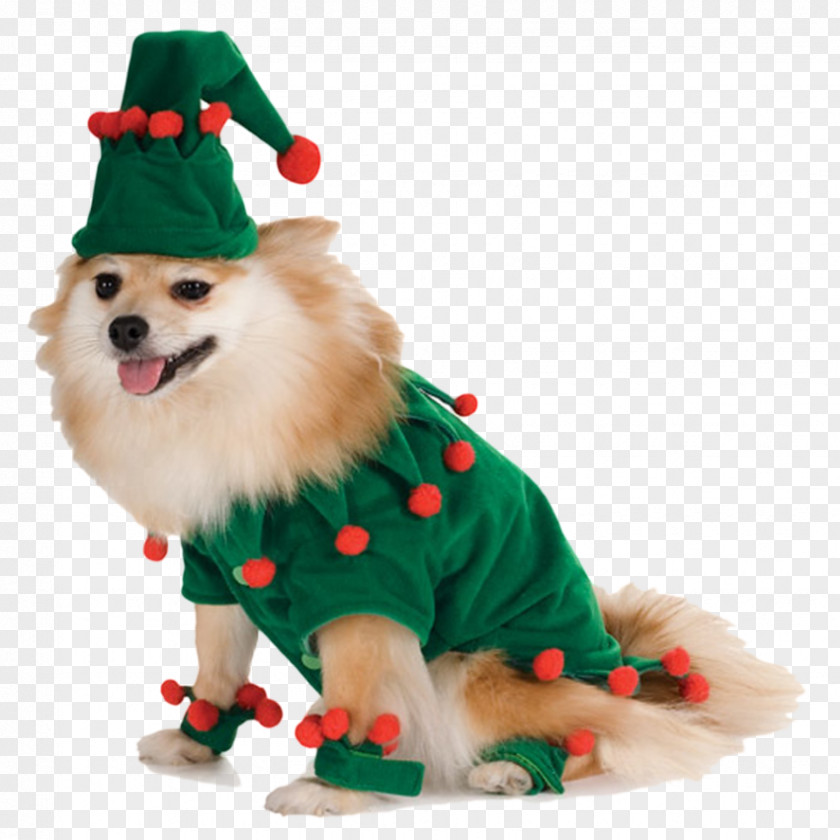 Dog Clothes Santa Claus Amazon.com Costume Pet PNG