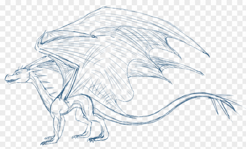 Dragon The Drawing Sketch PNG