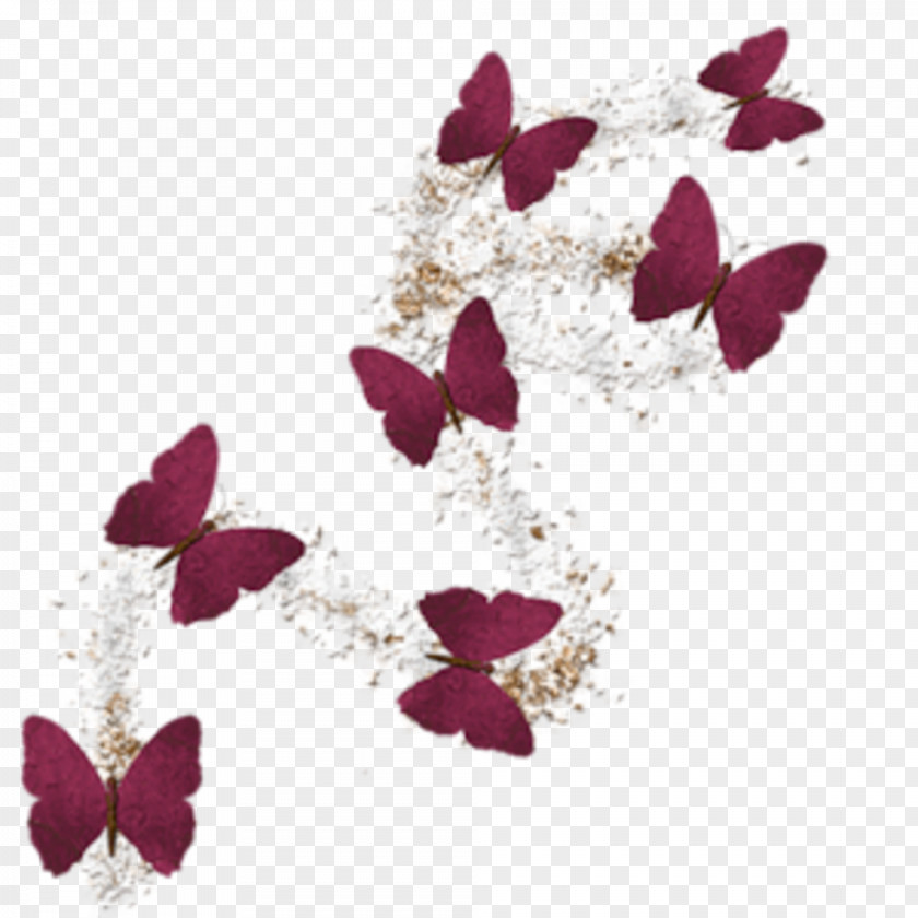 Flower Preview Blume Bookmark PNG