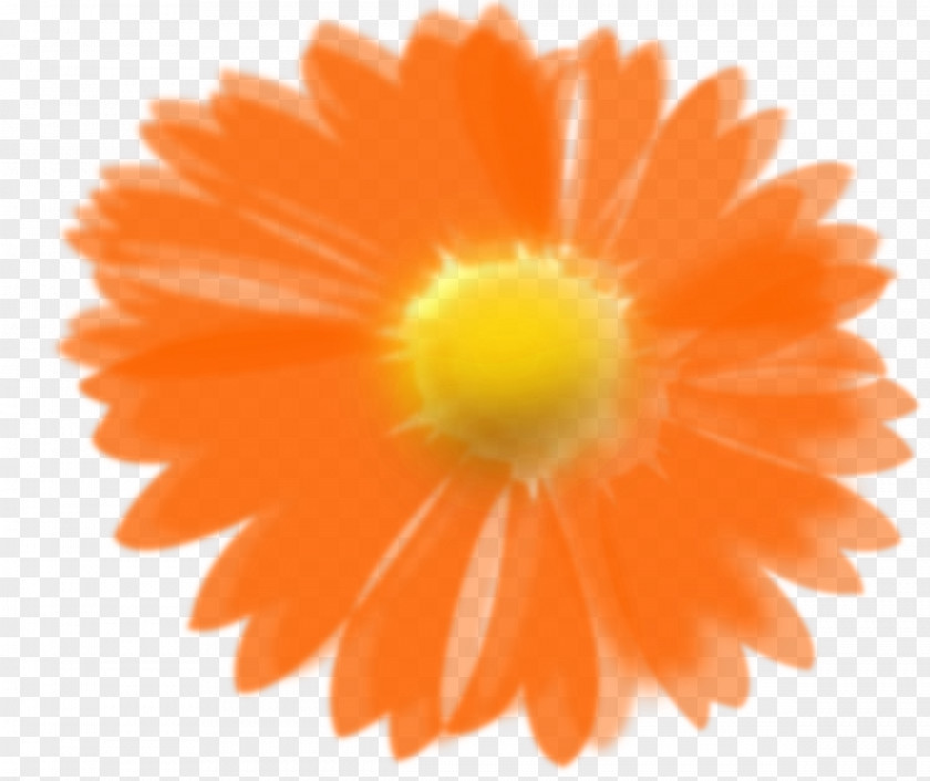 Sunflower Orange Flower Clip Art PNG