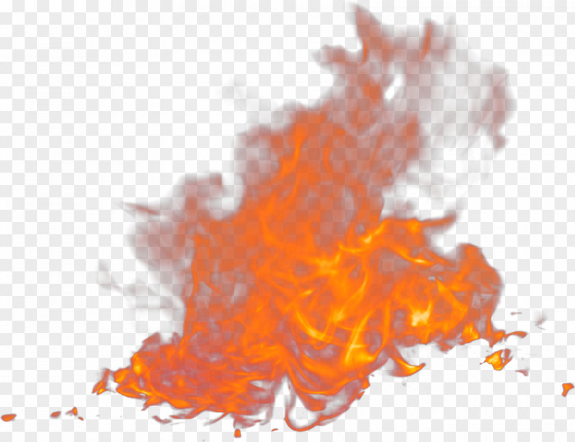 Flame Fire Euclidean Vector PNG
