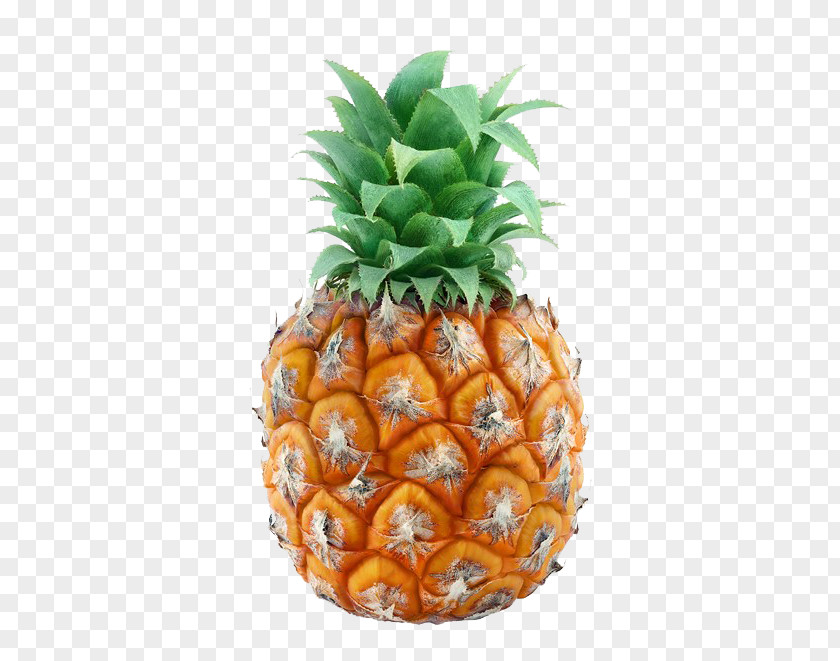 Pineapple Juice Jus Dananas Kiwifruit Flavor PNG