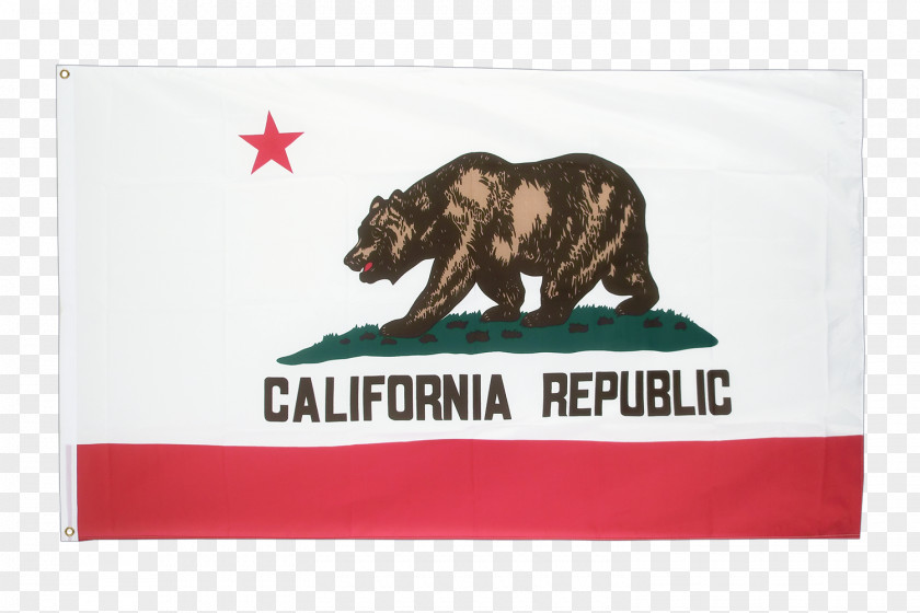 Rainbow California Republic Flag Of State PNG