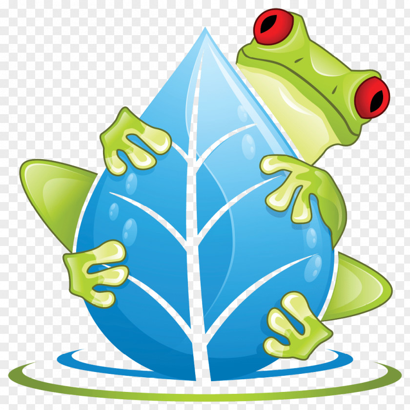 Swamp True Frog Cartoon PNG