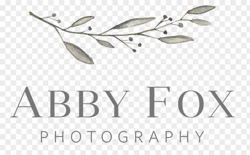 Photographer Abby Fox Photography Wedding Engagement PNG