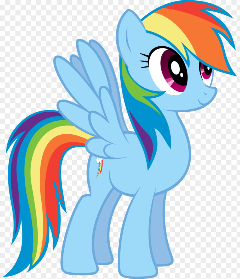 Pony Vector Rainbow Dash Rarity Pinkie Pie Twilight Sparkle PNG